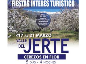 VALLE DEL JERTE - CEREZOS EN FLOR