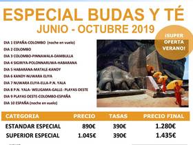 ESPECIAL BUDAS Y TE